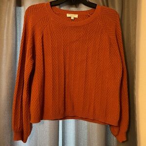 Warm & Cozy Crop Sweater
